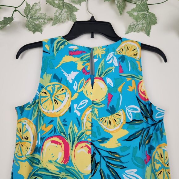 Pappagallo Size XS Blue Yellow Citrus Print Sleeveless Stretch Women's Dress - Picture 4 of 7